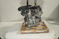 Moteur VW Golf 8 1.5 eTSI DPBA occasion