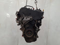 Mot. OCC VW Golf VI 1.6 TDI CAYC Occasion