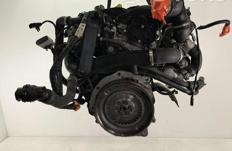Moteur Audi A3 8V 1.6 TDI occasion