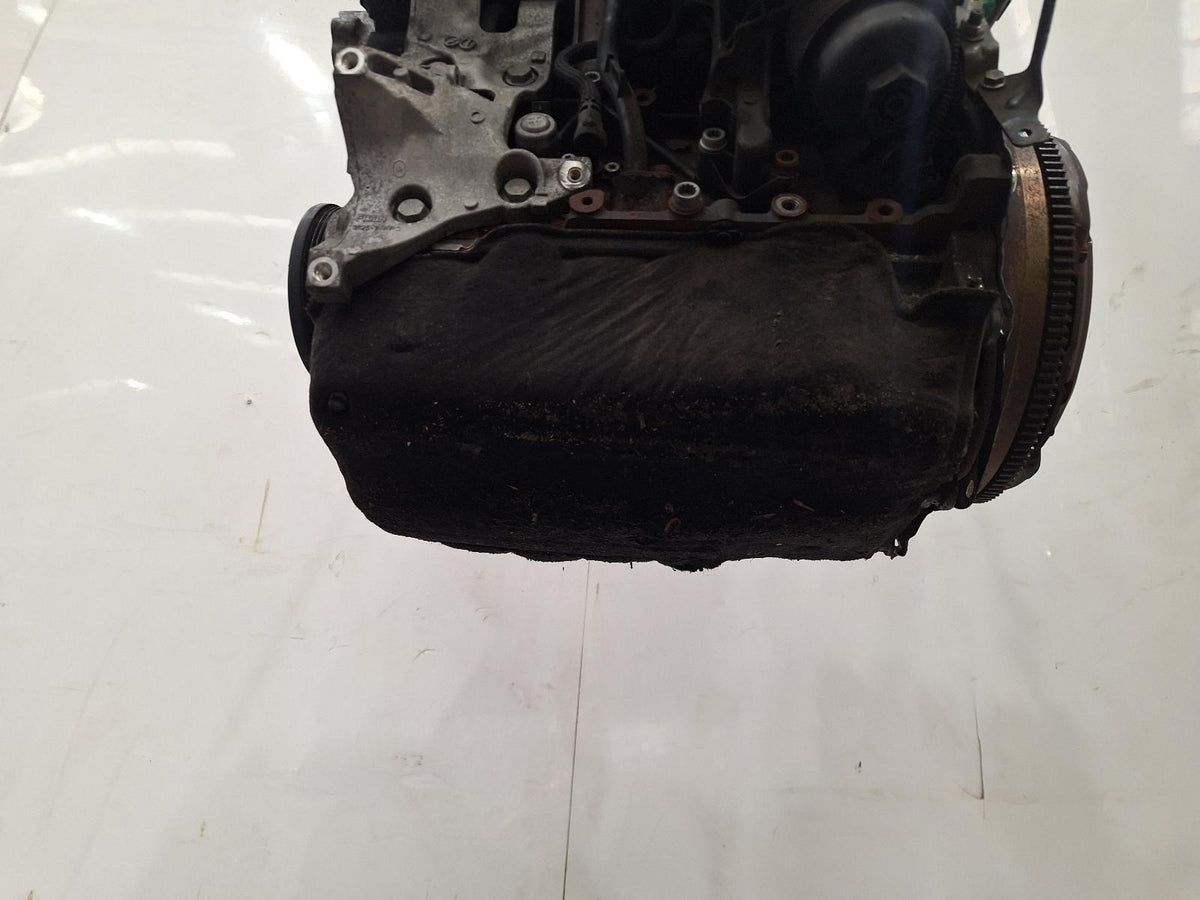 Mot. OCC VW Golf VI 1.6 TDI CAYC Occasion