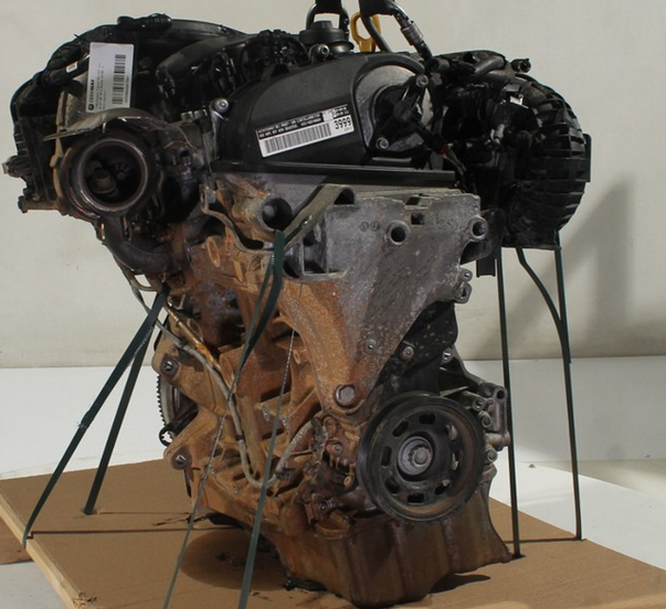 Mot. OCC VW Tiguan 1.5 TSI DPC Occasion