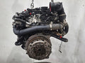 Mot. OCC Skoda Octavia III Combi 1.6 TDI DDYA Occasion